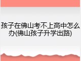 孩子在佛山考不上高中怎么办(佛山孩子升学出路)