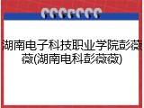 湖南电子科技职业学院彭薇薇(湖南电科彭薇薇)