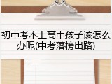 初中考不上高中孩子该怎么办呢(中考落榜出路)