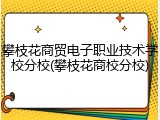 攀枝花商贸电子职业技术学校分校(攀枝花商校分校)