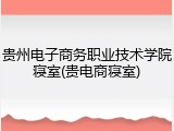 贵州电子商务职业技术学院寝室(贵电商寝室)