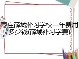 枣庄薛城补习学校一年费用多少钱(薛城补习学费)