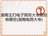 湖南主打电子商务大专院校有哪些(湖南电商大专)