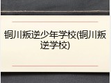 铜川叛逆少年学校(铜川叛逆学校)