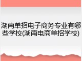 湖南单招电子商务专业有哪些学校(湖南电商单招学校)