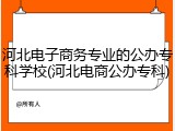 河北电子商务专业的公办专科学校(河北电商公办专科)