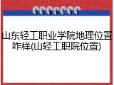 山东轻工职业学院地理位置咋样(山轻工职院位置)