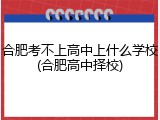 合肥考不上高中上什么学校(合肥高中择校)