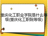 重庆化工职业学院是什么等级(重庆化工职院等级)