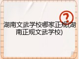 湖南文武学校哪家正规(湖南正规文武学校)