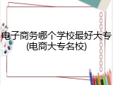 电子商务哪个学校最好大专(电商大专名校)