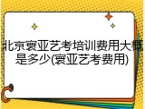 北京寰亚艺考培训费用大概是多少(寰亚艺考费用)