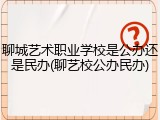聊城艺术职业学校是公办还是民办(聊艺校公办民办)