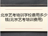 北京艺考培训学校费用多少钱(北京艺考培训费用)