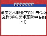 肇庆艺术职业学院中专部怎么样(肇庆艺术职院中专如何)