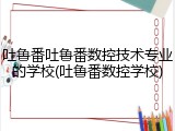 吐鲁番吐鲁番数控技术专业的学校(吐鲁番数控学校)