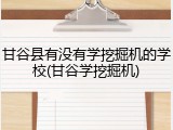 甘谷县有没有学挖掘机的学校(甘谷学挖掘机)