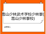 嵩山少林武术学校少林拳(嵩山少林拳校)
