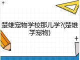 楚雄宠物学校那儿学?(楚雄学宠物)