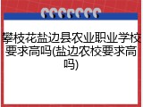 攀枝花盐边县农业职业学校要求高吗(盐边农校要求高吗)