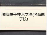 渤海电子技术学校(渤海电子校)