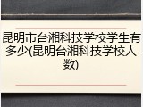 昆明市台湘科技学校学生有多少(昆明台湘科技学校人数)