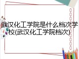 武汉化工学院是什么档次学校(武汉化工学院档次)