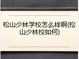 松山少林学校怎么样啊(松山少林校如何)