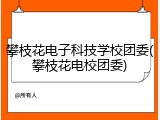 攀枝花电子科技学校团委(攀枝花电校团委)