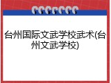 台州国际文武学校武术(台州文武学校)