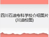 四川石油专科学校介绍图片(川油校图)