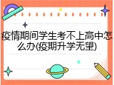 疫情期间学生考不上高中怎么办(疫期升学无望)