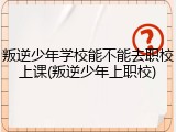 叛逆少年学校能不能去职校上课(叛逆少年上职校)