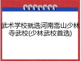 武术学校就选河南嵩山少林寺武校(少林武校首选)