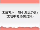 沈阳考不上高中怎么办呢(沈阳中考落榜对策)