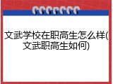 文武学校在职高生怎么样(文武职高生如何)