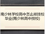 南少林学校高中怎么样技校毕业(南少林高中技校)