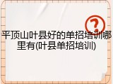 平顶山叶县好的单招培训哪里有(叶县单招培训)