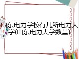 山东电力学校有几所电力大学(山东电力大学数量)