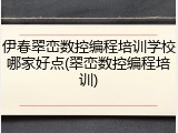 伊春翠峦数控编程培训学校哪家好点(翠峦数控编程培训)