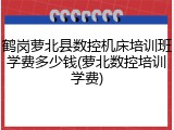 鹤岗萝北县数控机床培训班学费多少钱(萝北数控培训学费)