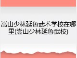 嵩山少林延鲁武术学校在哪里(嵩山少林延鲁武校)