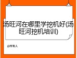 汤旺河在哪里学挖机好(汤旺河挖机培训)