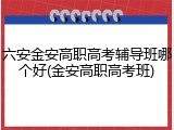六安金安高职高考辅导班哪个好(金安高职高考班)