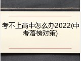 考不上高中怎么办2022(中考落榜对策)