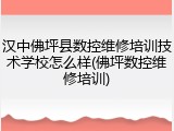 汉中佛坪县数控维修培训技术学校怎么样(佛坪数控维修培训)