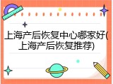 上海产后恢复中心哪家好(上海产后恢复推荐)