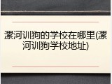 漯河训狗的学校在哪里(漯河训狗学校地址)