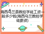 海西乌兰县数控学徒工资一般多少钱(海西乌兰数控学徒薪资)