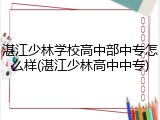 湛江少林学校高中部中专怎么样(湛江少林高中中专)